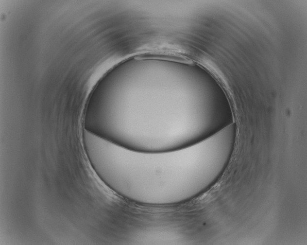 X0000090461344200707130944