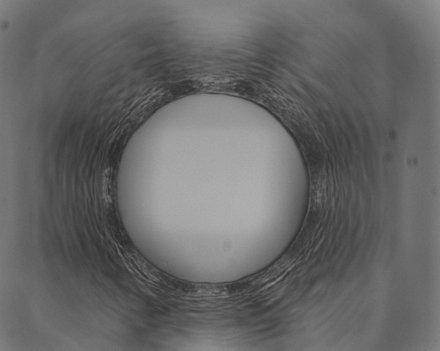 X0000090461346200707130943