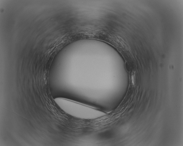 X0000090461347200707130943