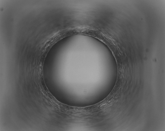 X0000090461349200707130943