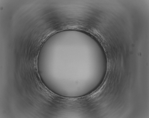 X0000090461353200707130943