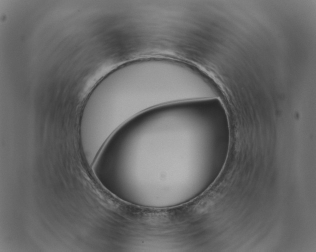 X0000090461363200707130943