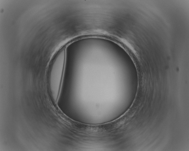 X0000090461364200707130943