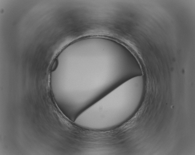 X0000090461366200707130943