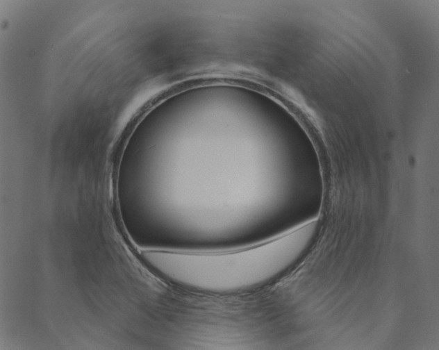 X0000090461368200707130943