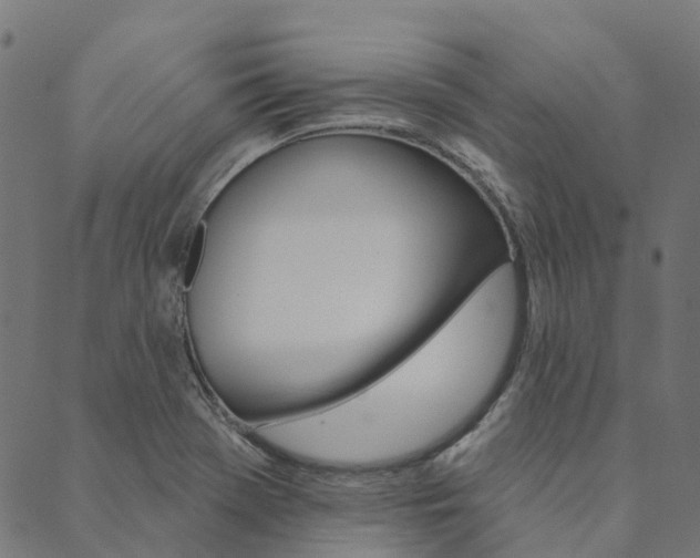 X0000090461369200707130943