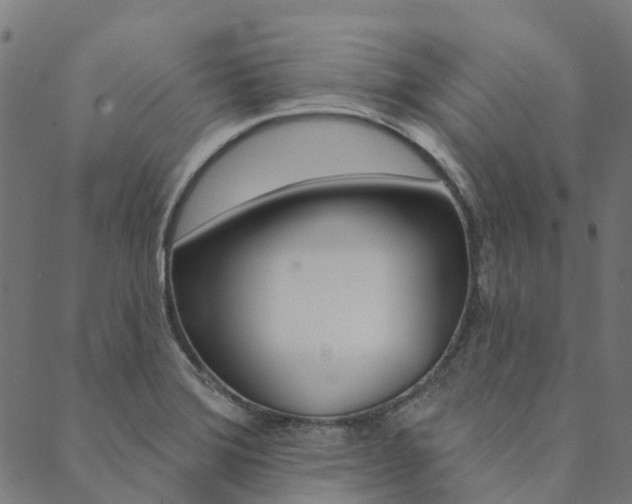 X0000090461372200707130943