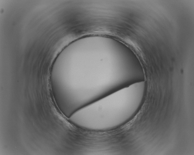 X0000090461374200707130943