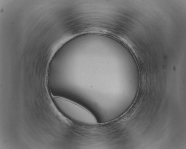 X0000090461379200707130943