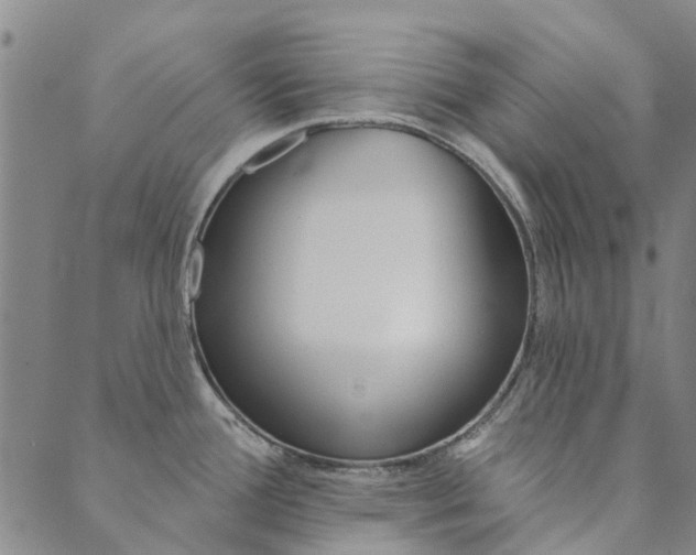 X0000090461388200707130943