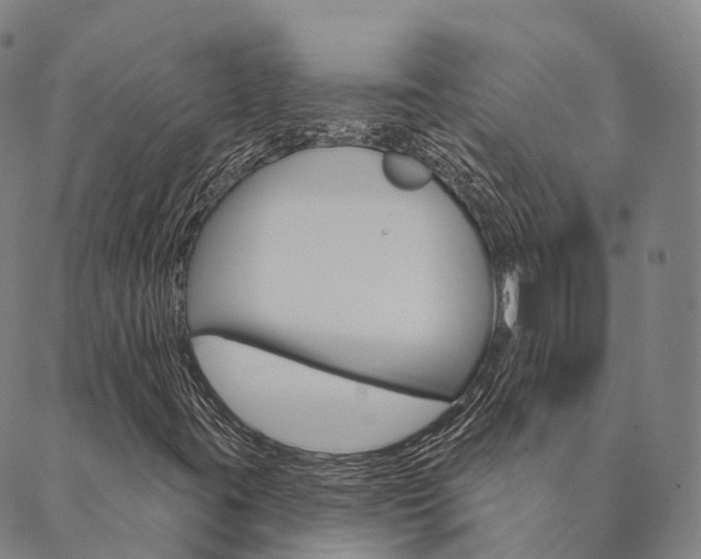 X0000090461395200707130942