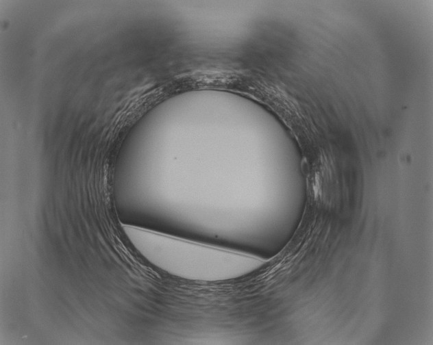 X0000090461396200707130942
