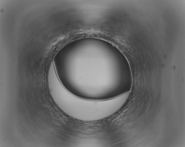 X0000090461398200707130942