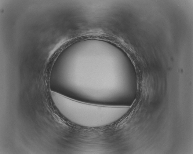 X0000090461400200707130942