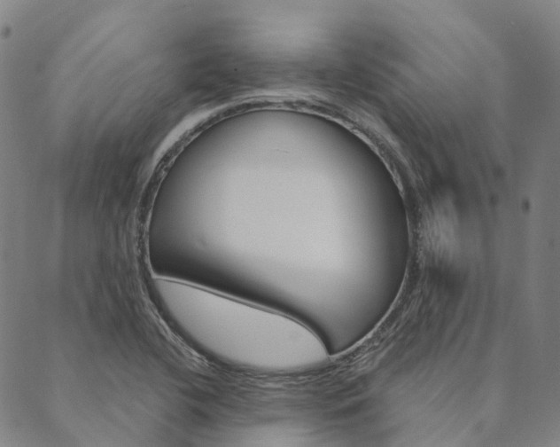 X0000090461412200707130942