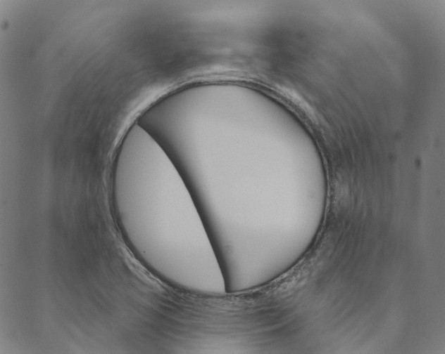 X0000090461413200707130942