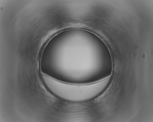 X0000090461414200707130942