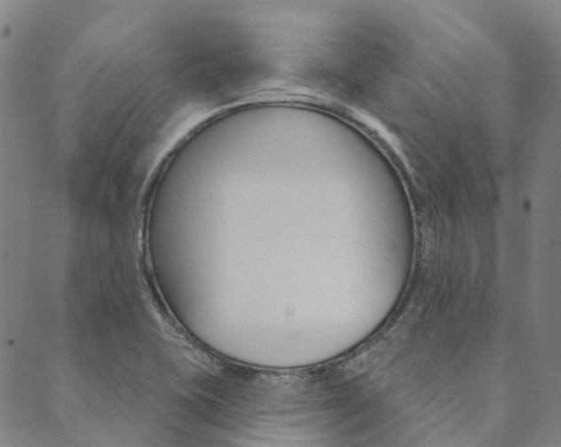 X0000090461415200707130942