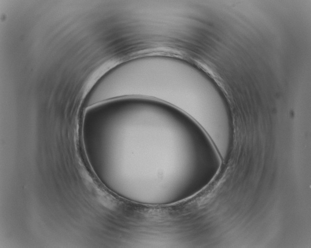 X0000090461418200707130942