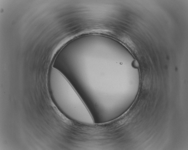 X0000090461420200707130942