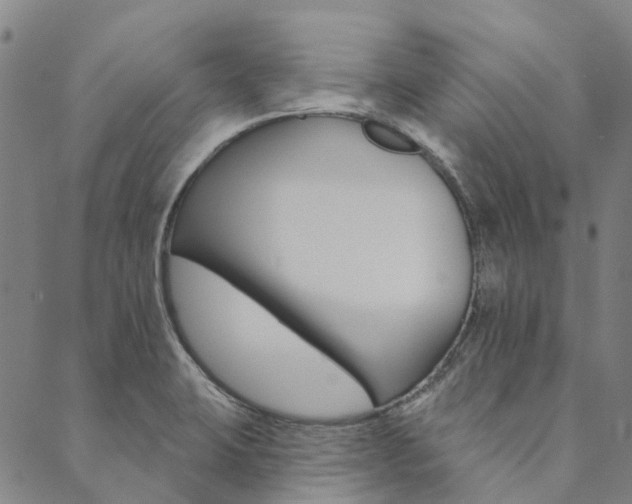 X0000090461423200707130942