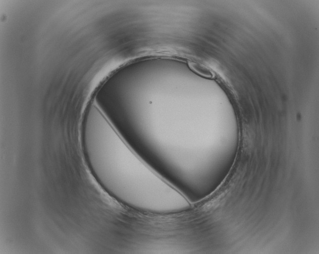 X0000090461424200707130942