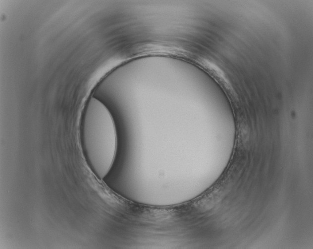 X0000090461427200707130942