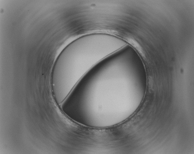 X0000090461428200707130942