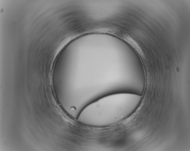 X0000090461436200707130942