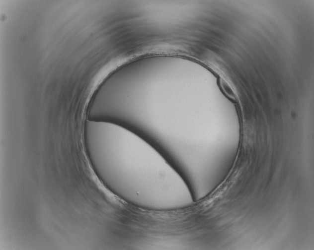 X0000090461437200707130942