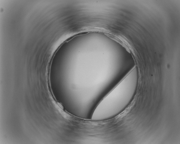 X0000090461438200707130942