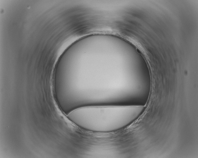 X0000090461440200707130943