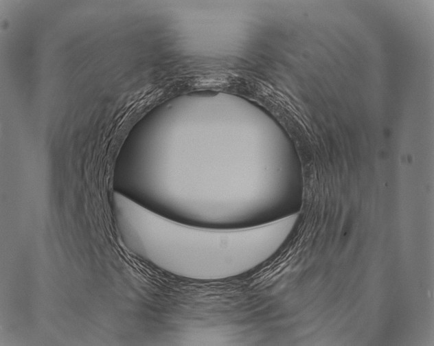 X0000090461441200707130942