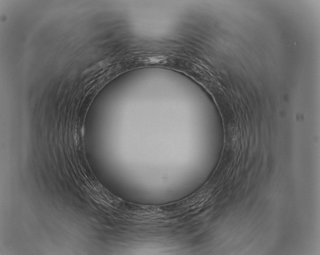 X0000090461442200707130942