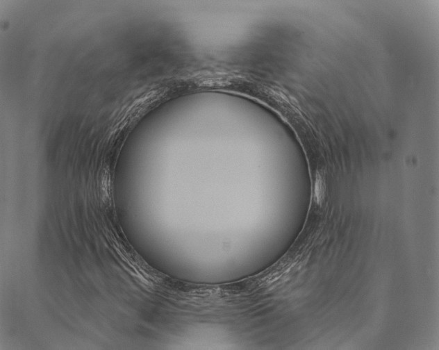 X0000090461444200707130942