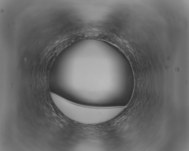 X0000090461445200707130942