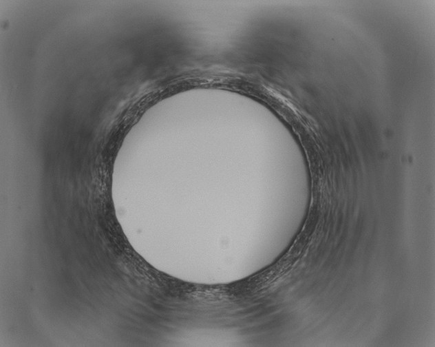 X0000090461447200707130942