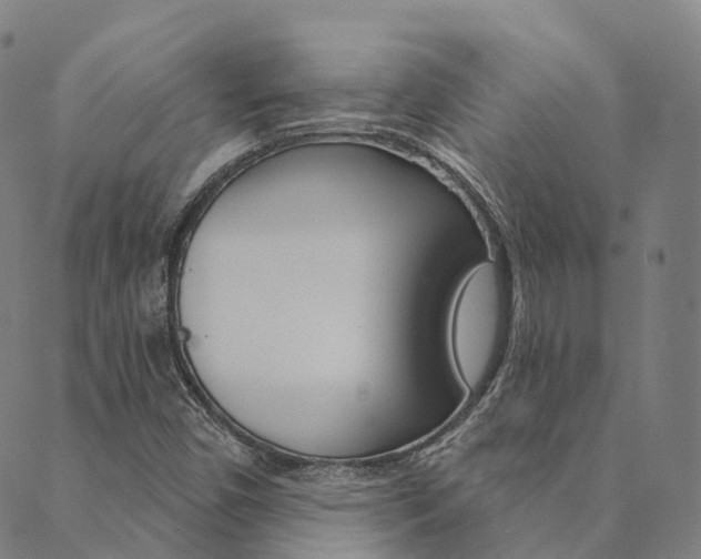 X0000090461450200707130942