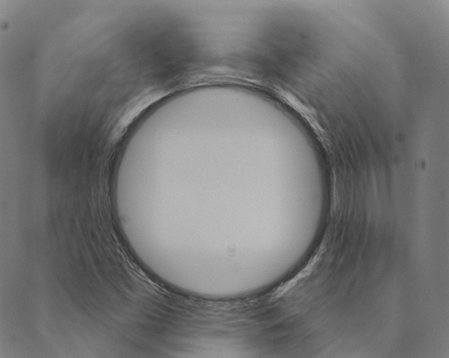 X0000090461453200707130942