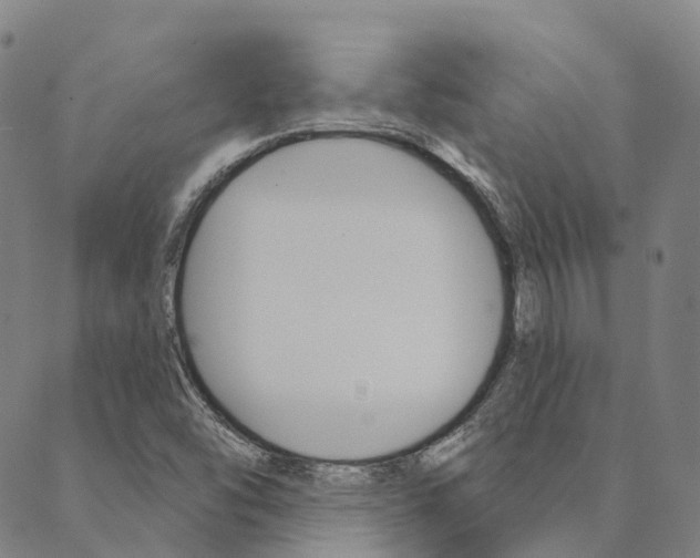 X0000090461454200707130942