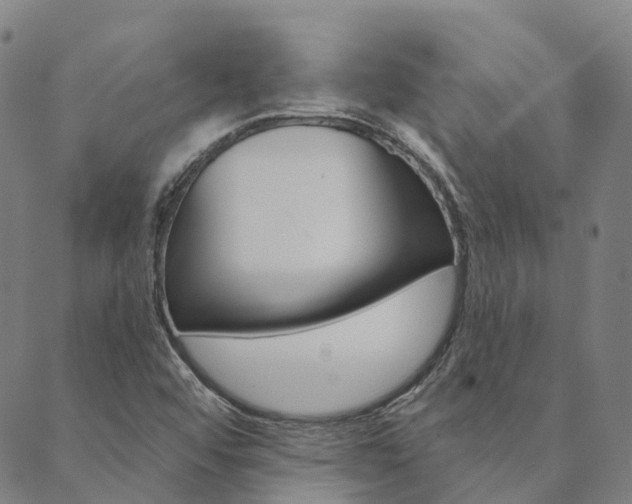 X0000090461456200707130941