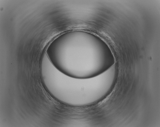 X0000090461457200707130941
