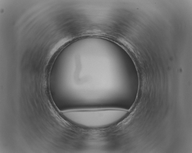 X0000090461458200707130941