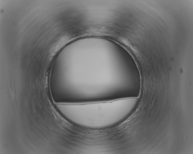 X0000090461459200707130941