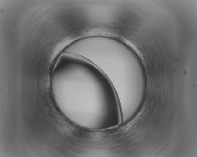 X0000090461461200707130941