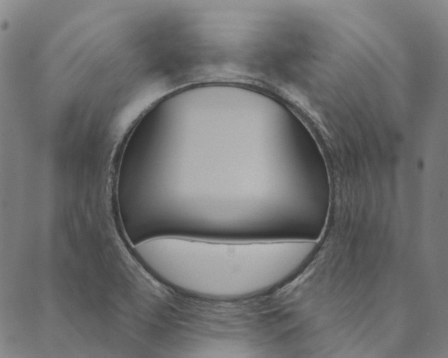 X0000090461463200707130941
