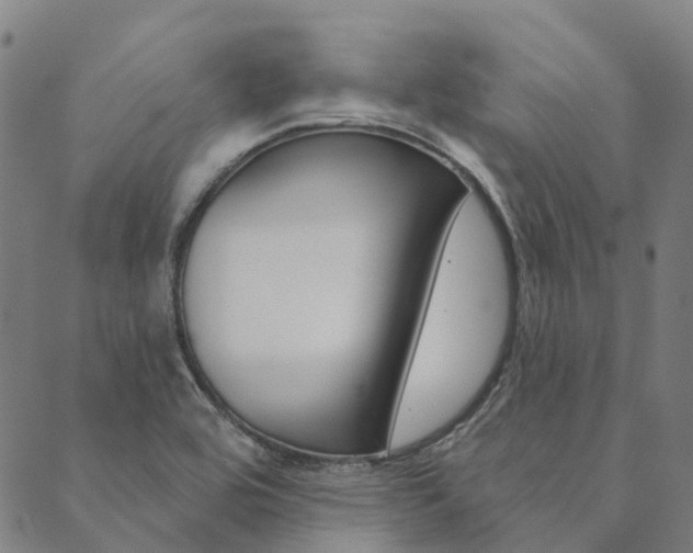 X0000090461464200707130941