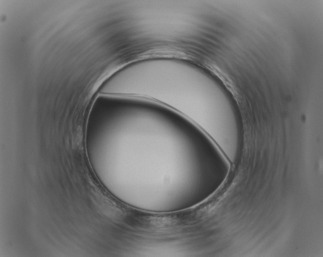 X0000090461465200707130941