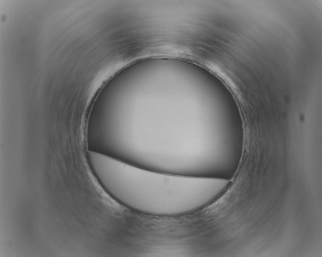 X0000090461477200707130941