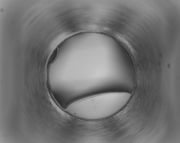 X0000090461479200707130941